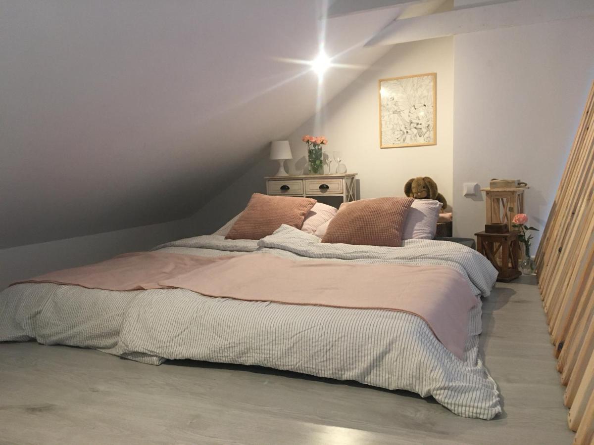 Apartament Z Antresola Okszow Eksteriør billede